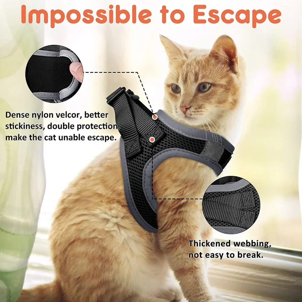 Kitten harnesses and leash set